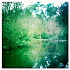 Pond in Pollock Park, Glasgow